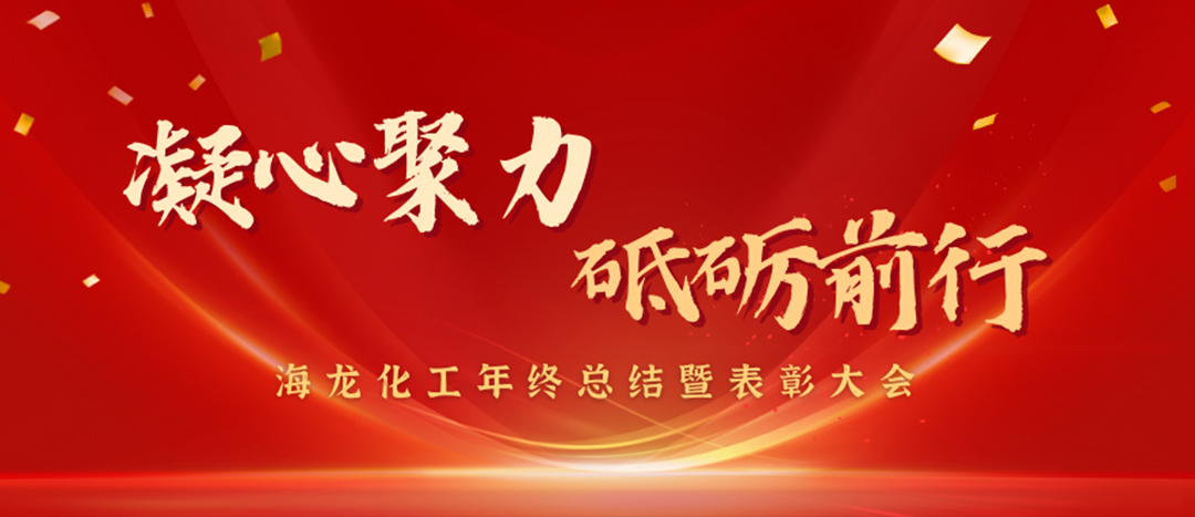 表彰 | 凝心聚力，砥礪前行，海龍化工年終總結(jié)暨表彰大會(huì)圓滿舉行